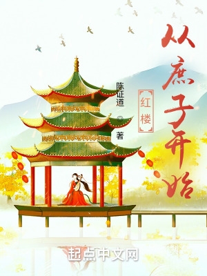 红楼从庶子开始小说阅读